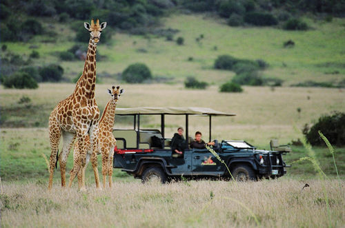 Amakhala Safari Lodge Paterson Exterior foto